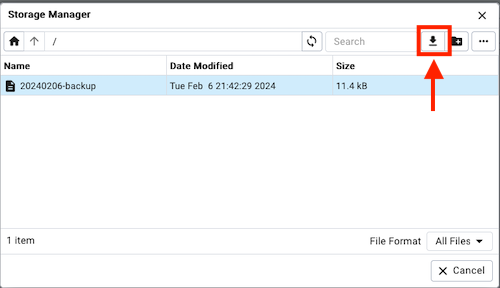 Backup Storage Manager