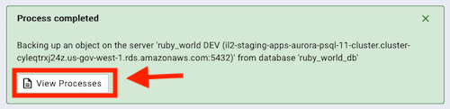 Backup View Processes